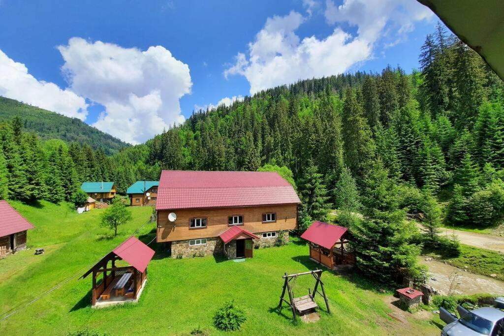 студіо номер 5 у ані *