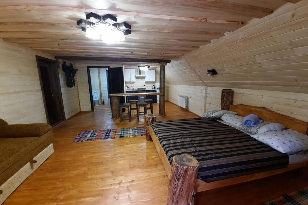 студіо номер 5 у ані Synevyrs'ka Polyana