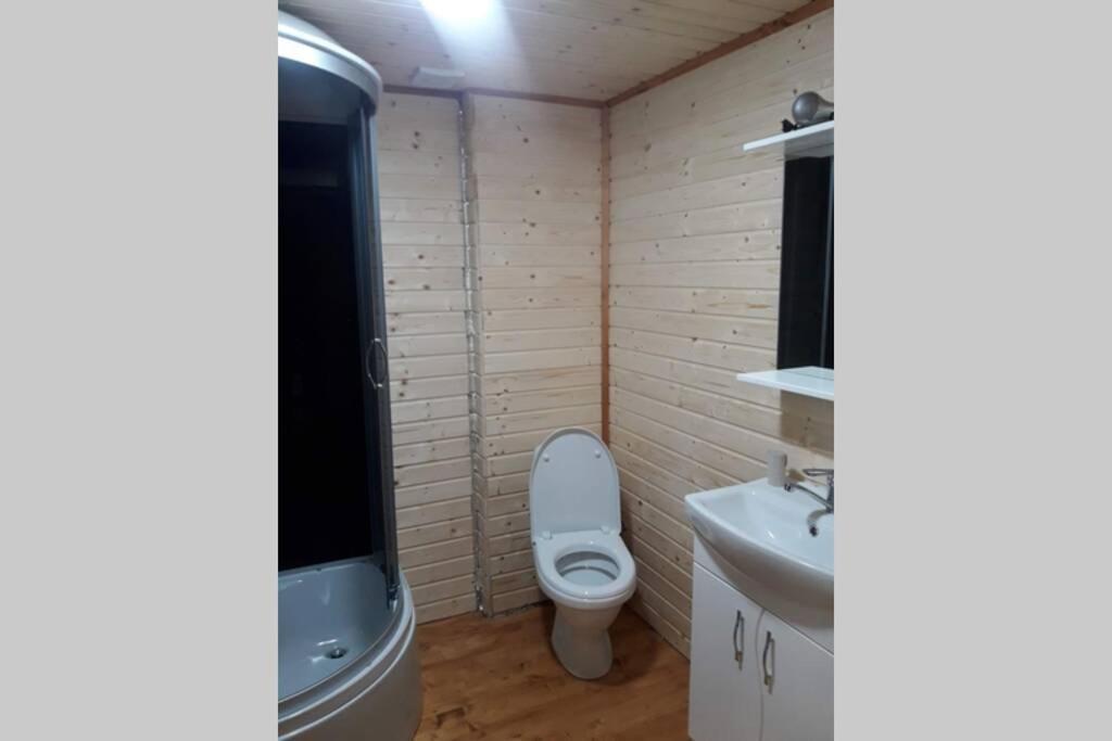 студіо номер 5 у ані Apartment Synevyrs'ka Polyana